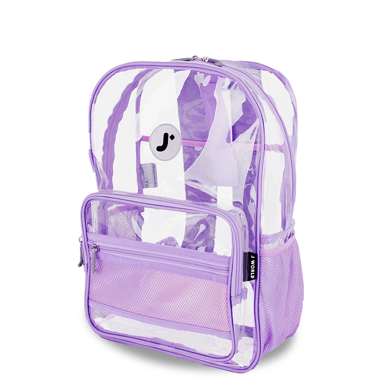 Clear Laptop Backpack